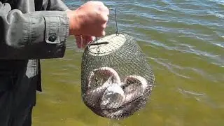 ГРАМОТНО ЛОВИМ ЛЕЩА