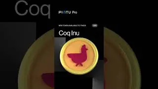 COQ sekarang sudah bisa kamu trading di Pintu Pro!