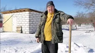Сырость в зимовнике. Первые потери. Выставка пчёл.