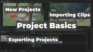 Adobe Premiere Pro: Project Basics