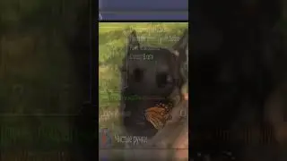ДОБРЯК #stalcraft #minecraft #tiktok #memes #exbo #stalker #stalker2 #сталкер