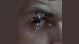 Apology