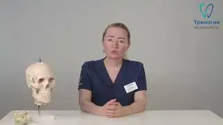 Ортодонтия. Вестибулярные многопетлевые брекеты. Советы по ношению мультипетельных дуг