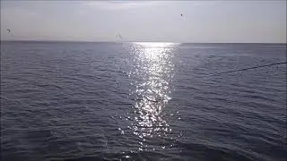 Окунь на поппер 17.07.21 Рыбинское водохранилище.