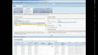 DB2 Workload Management using Performance Optimization Feature