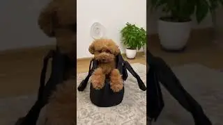 Очень удобная сумка-переноска