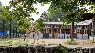 Поездка в питерский зоопарк. Неоднозначные ощущения.