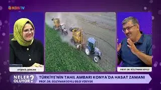 Tahıl ambarı #konya’da hasat zamanı Çiftçiler beklediği ücreti bulabilecek mi #kontv #neleroluyor