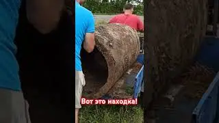 Металлокоп. Нашел трубу!