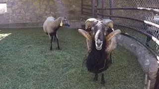 The Freedom to Roam episode 12 El Paso Texas