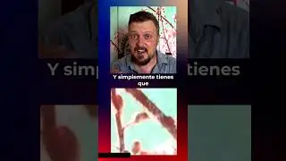 #shorts  RELAJA tu MENTE FÁCILMENTE visualización para relajación