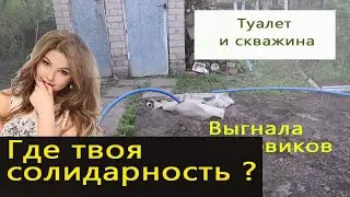 Как крыса, где Солидарность? Спасли Одинокую женщину часть 2