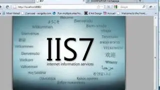 Run WAMP Server &  IIS 7 on Windows