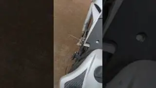 Can someone please tell me what this is?