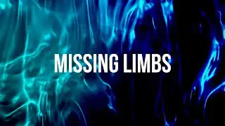 Missing Limbs by Sleep Token (Lyric Video)