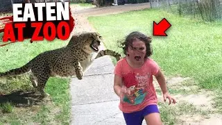 This Little Girl Was EATEN ALIVE By Cheetah After Escaping Zoo Enclosure!