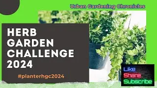 Official HGC 2024 Entry Video | (March 1st) | 