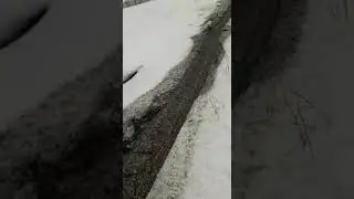 Град 04.05.2020 Предгорный р-он
