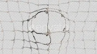 Soccer Ball With Stadium - Motion Graphics