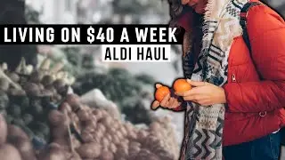 How I Prep My Week // Aldi Haul, Fetch Rewards, & No Spend Update