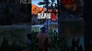 4 Rare Items You Can Find in Red Dead Redemption 2