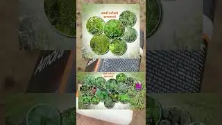 Amora Herbicide || अमोरा खरपतवार नाशक सोयाबीन || #a2zfarming || अमोरा हर्बिसाइड ||