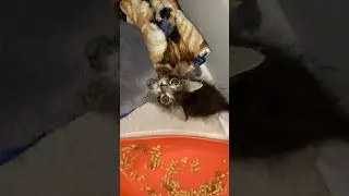 Энди стал самостоятельным