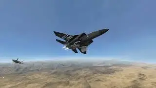 Flying with 
