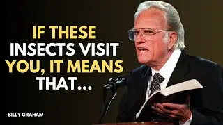The Spiritual Meaning of Insects in Your House – Don’t Ignore These Signs! - Billy Graham