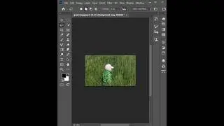 Resize the image Photoshop shorts 