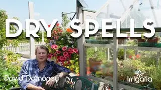 Quick Tip: How to keep your plants healthy during dry spells