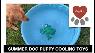 Summer Time Cooling Dog Puppy Toys