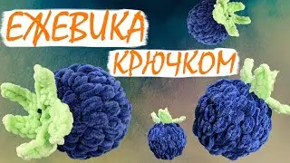 Ежевика крючком