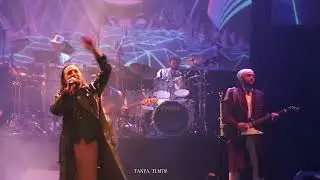 POP LIFE : ECHOES OF PRINCE