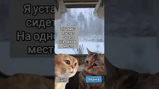 История в поезде #животные #pet #animal #мем #animals #мемныекоты #коты #котыговорят #анекдот #кот