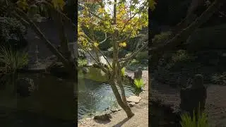 Красивые сады🌟Идеи/ Примеры🌟Park der Gärten 🌟