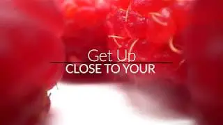 JamesPatrick Pro Food Macro Promo Video