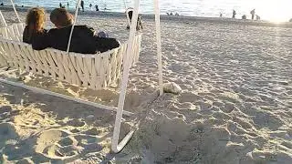 Сочинский пес🐕🏝️