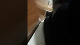 САЛОМ