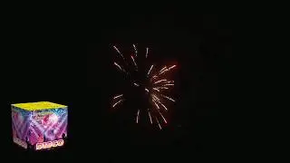 Lecana - DISCO 16s