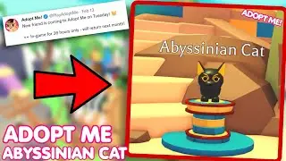 HOW TO GET THE ABYSSINIAN CAT 👀🙀Roblox Adopt Me