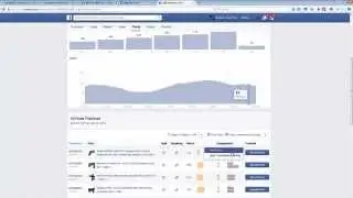 WP Fan Machine Demo