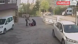 Отважная мать спасла ребенка, разжав челюсти питбулю