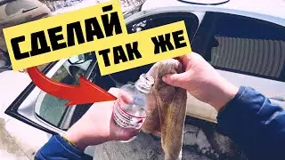 Skoda Rapid. How to keep the sills clean?