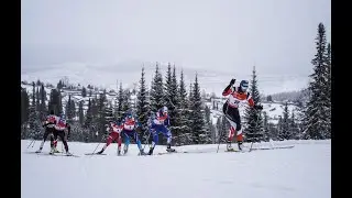 20/21 Кубок России. Спринт свободным стилем. Женщины
