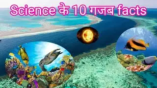 Science Facts - विज्ञान के 10 गजब तथ्य।। दुनिया में सबसे दिलचस्प तथ्य क्या है