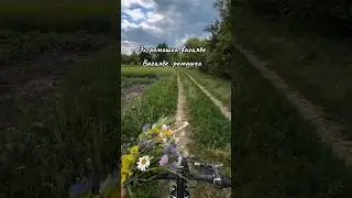 Эх, ромашка-василёк@tatiana.kurtukova #родина #shortvideo #shorts
