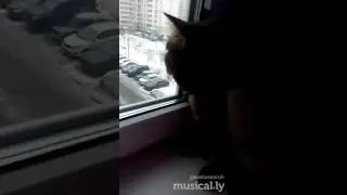 Это что-то новое