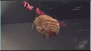 Action 10. Module 6.(5)