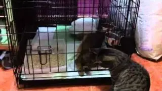 IMG 0481
